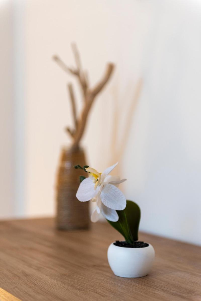 Villa Plumeria كامبوفيليتْشّي دي روتْشّي المظهر الخارجي الصورة